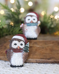 Christmas Owl With Hat