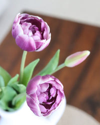 Peony and Tulip Bundle Lavender Real Touch 18"