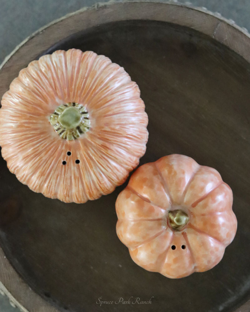 Oversized Rustic Pumpkin Salt and Pepper Set