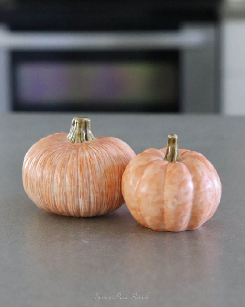 Oversized Rustic Pumpkin Salt and Pepper Set