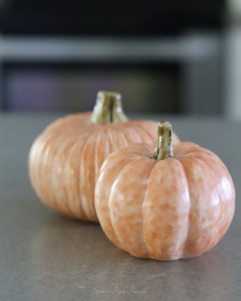 Oversized Rustic Pumpkin Salt and Pepper Set