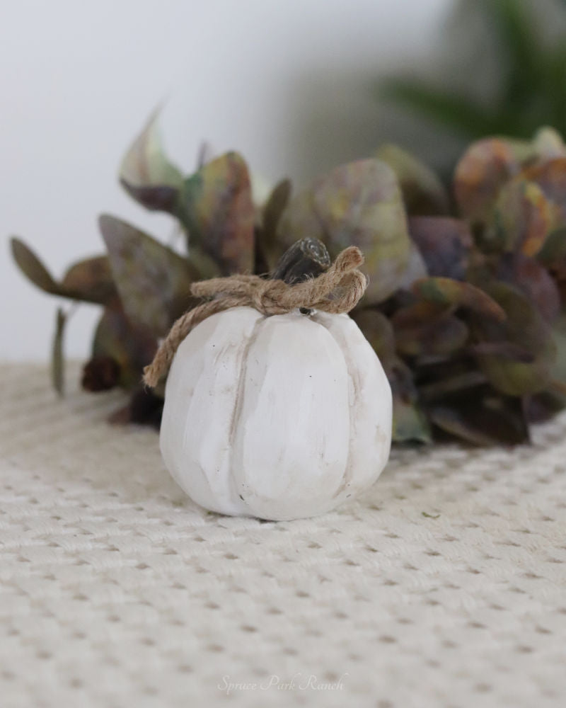 Mini Rustic Pumpkin