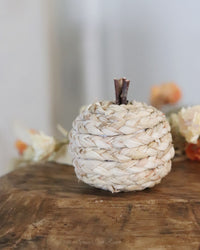 Mini Rattan Braided Pumpkin