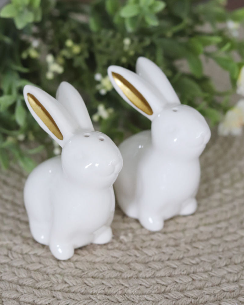 Ceramic Bunny Salt and Pepper Set