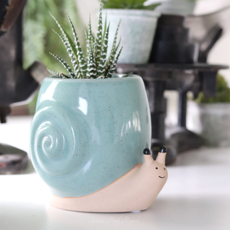 Snail Planter