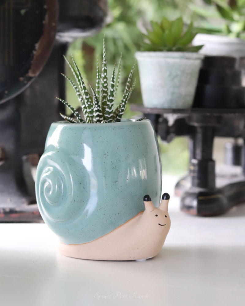 Snail Planter