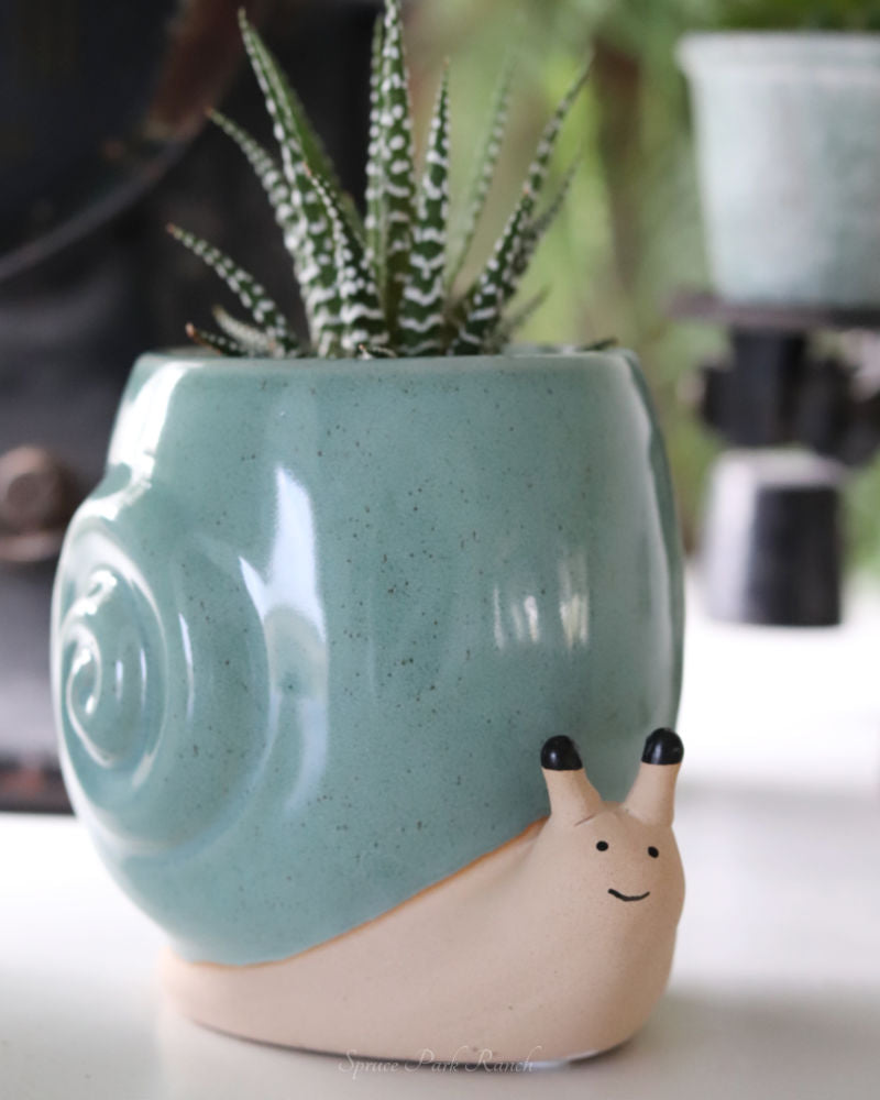 Snail Planter