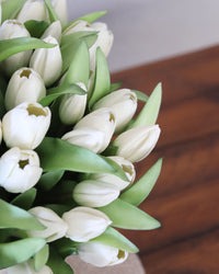 Tulip Bundle White Flower and Bud Real Touch 12"