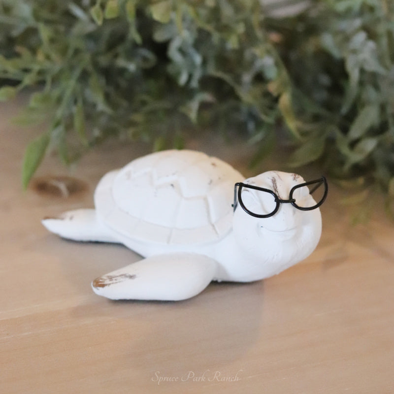 Whitewashed Turtle With Glasses