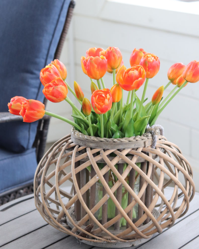 Tulip UV Resistant Orange Real Touch Bundle 15"