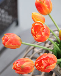 Tulip UV Resistant Orange Real Touch Bundle 15"