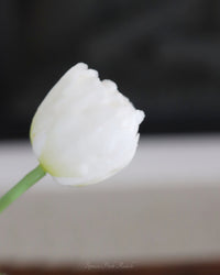 Tulip UV Resistant White Real Touch Bundle 15"