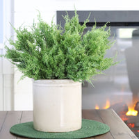 Northern White Cedar Greenery Collection  Real Touch