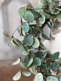 Garden Eucalyptus Greenery Collection