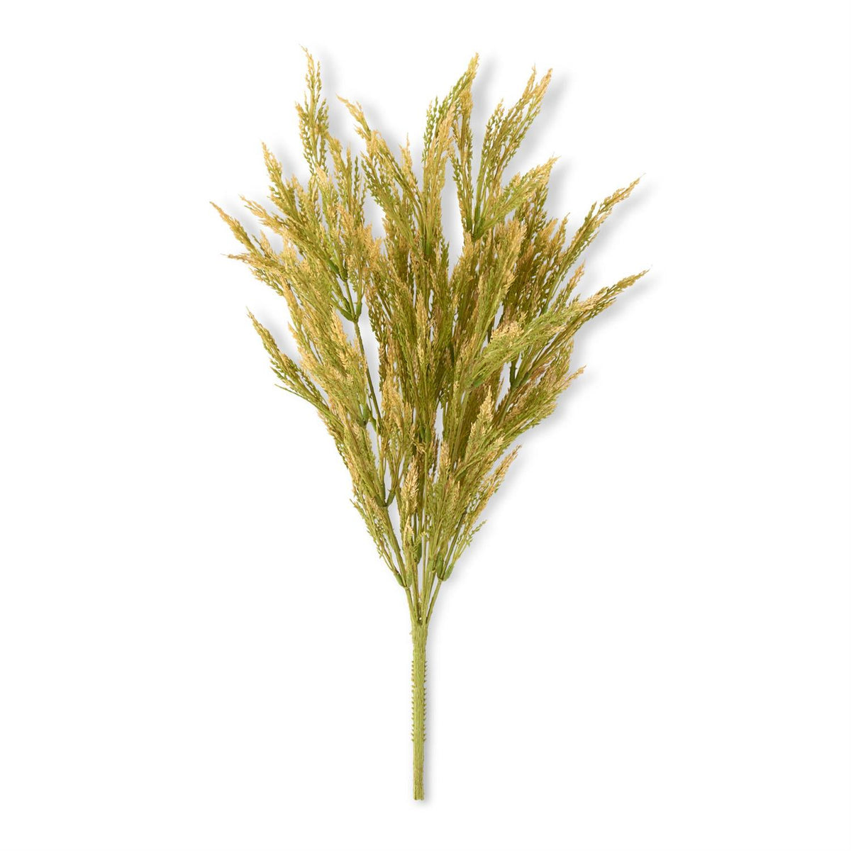 Green Wheat Bush 21"