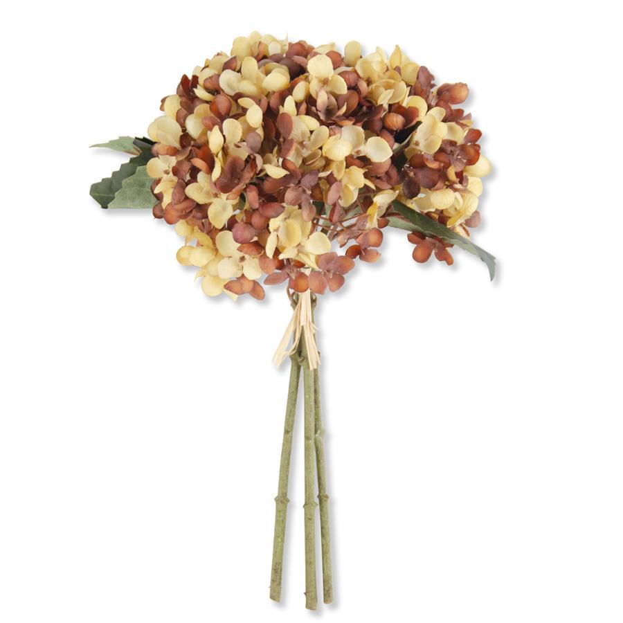 Golden Brown Hydrangea Bundle 13"