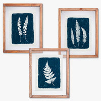 Glass Framed Navy Fern Print