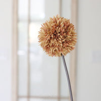 Allium Stem 26"