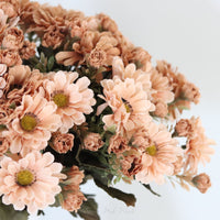 Beige Chrysanthemum Bush 15"