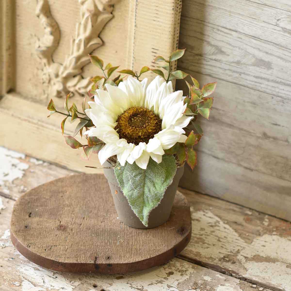 Potted Sunflower