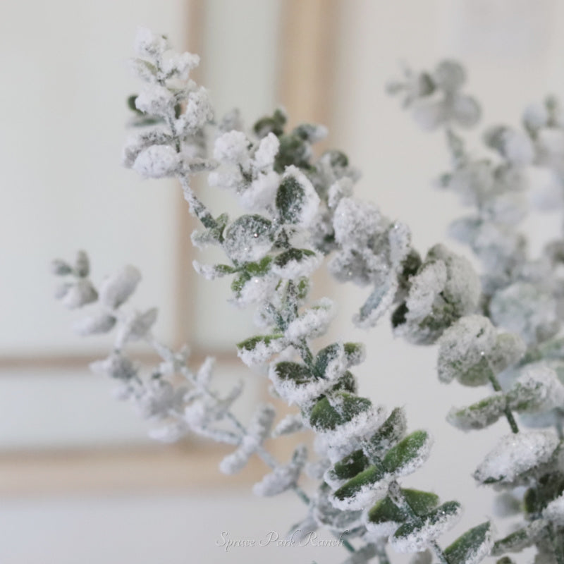 Snowy Frosted Eucalyptus Stem