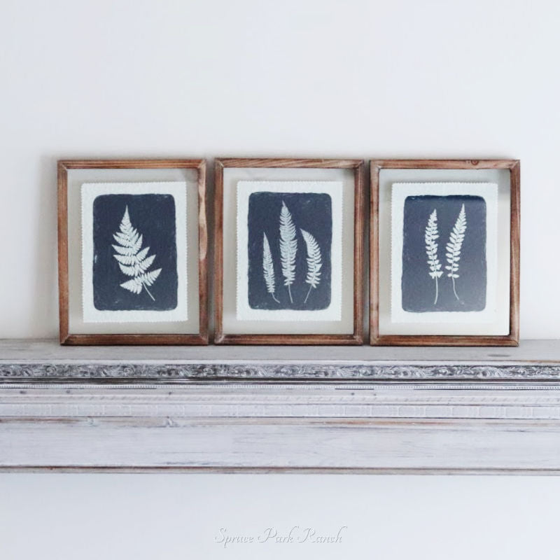 Glass Framed Navy Fern Print