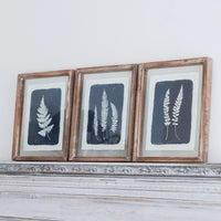 Glass Framed Navy Fern Print