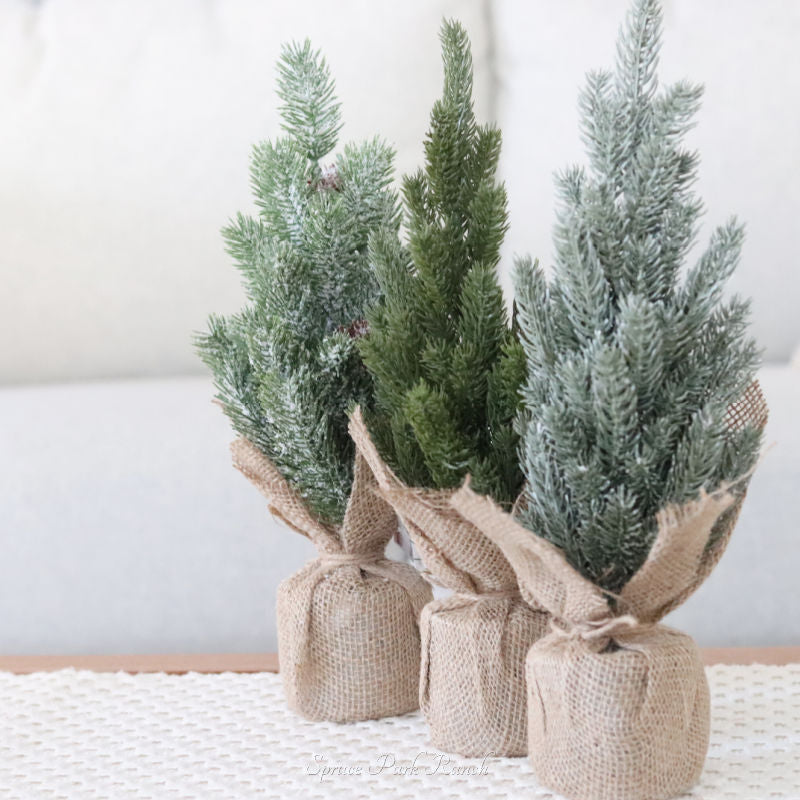 Pine Tree with Burlap Base