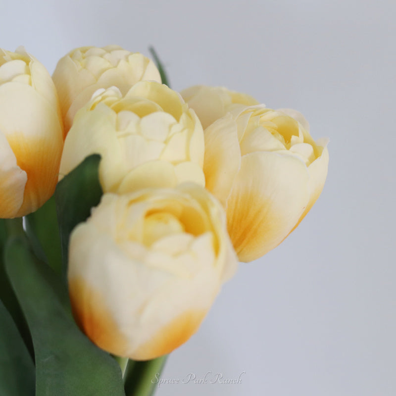 Tulip Yellow Large Bloom Real Touch Bundle 13"