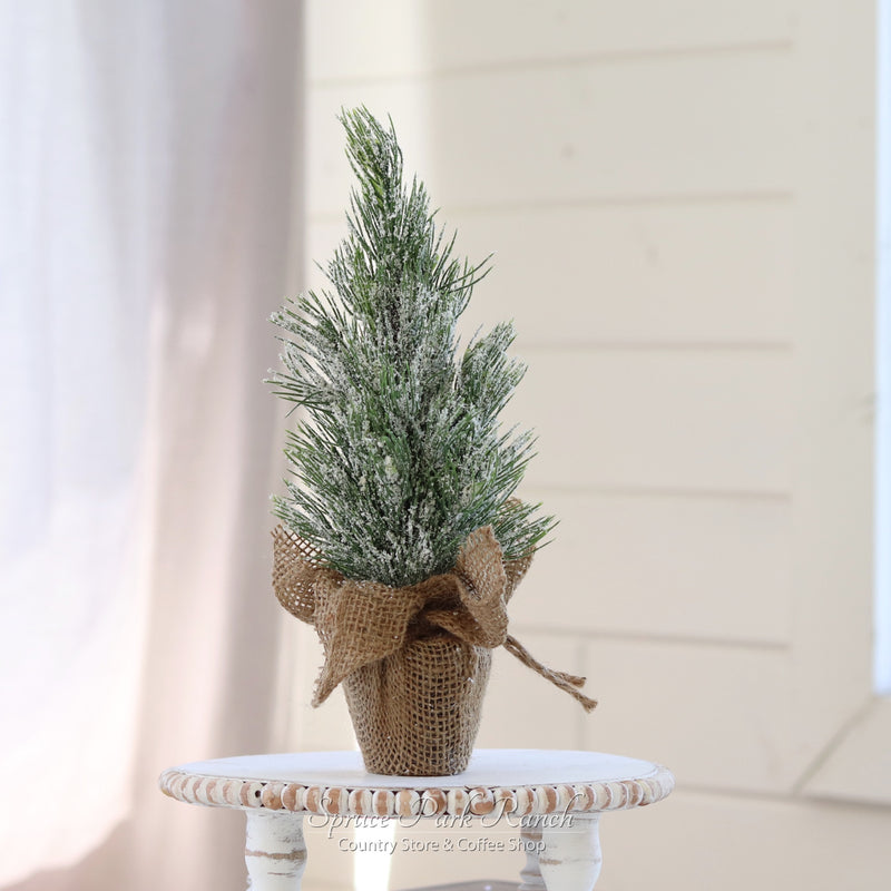 Mini Potted Pine