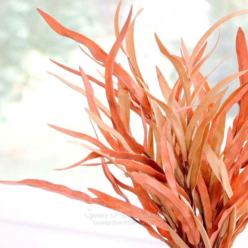 Golden Isles Sienna Bush