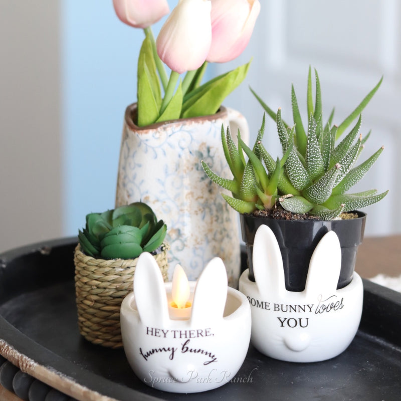 Mini Bunny Ear Planter