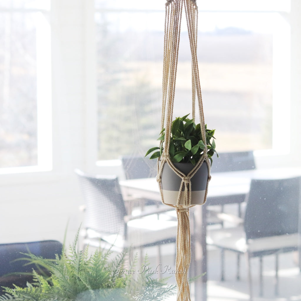 Hanging Planter