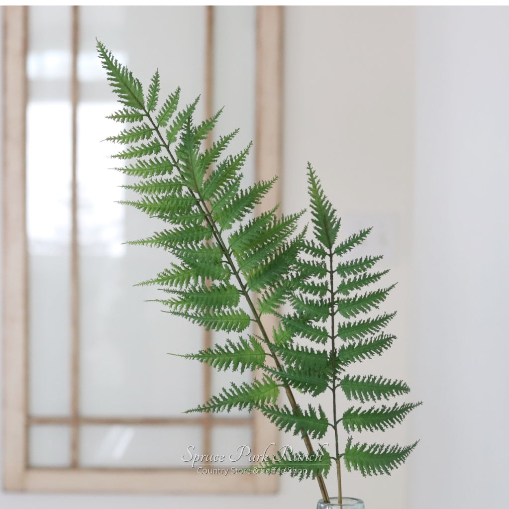 Airy Three Branch Fern