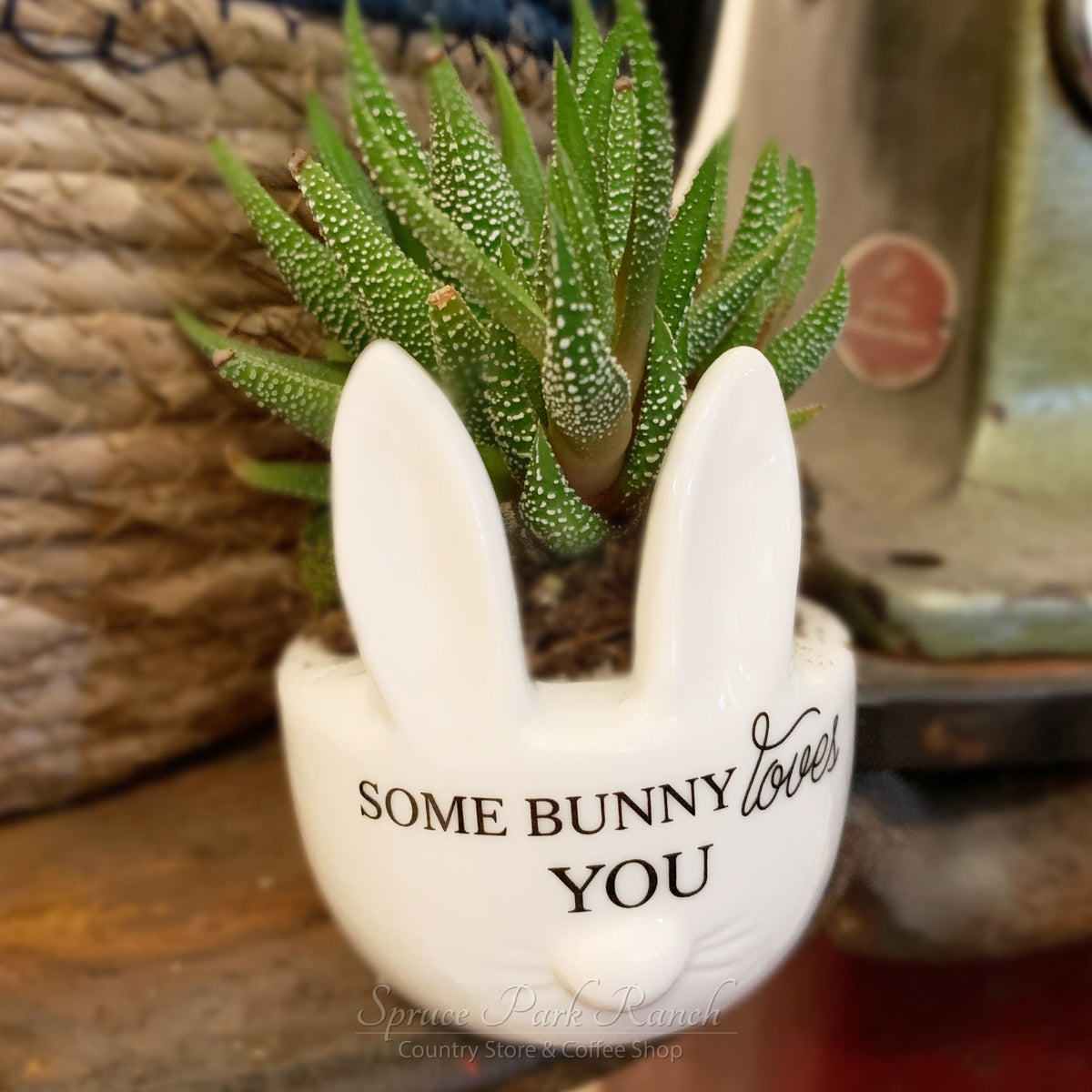 Mini Bunny Ear Planter