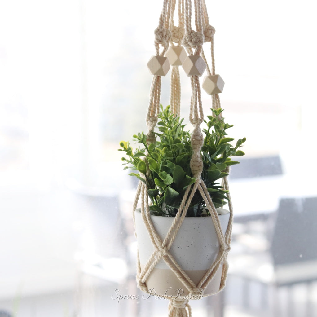 Hanging Planter