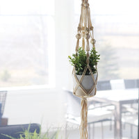 Hanging Planter