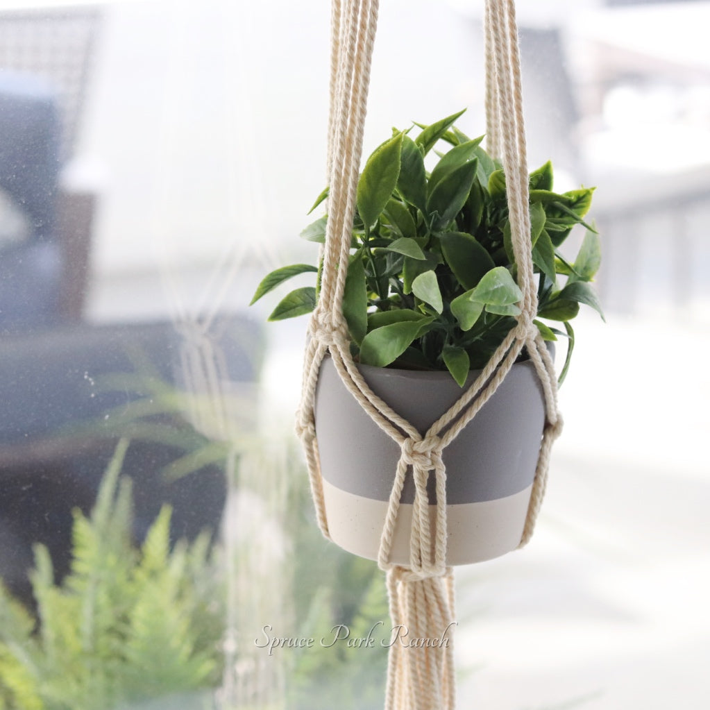 Hanging Planter