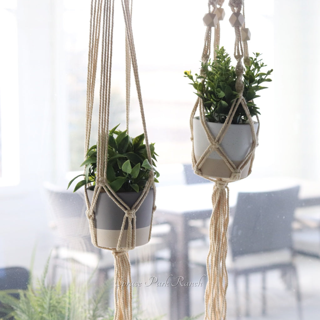 Hanging Planter